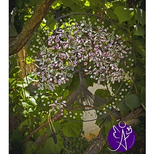 Drátovaný strom života - něžnost a láska 38 cm